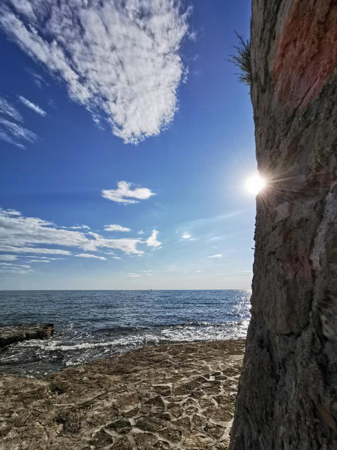 Lara Deluxe Superior 5 Star Apartment, Your Piece Of Heaven By The Sea & Park Novigrad (Istria) Exterior foto